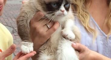 Embedded image permalink