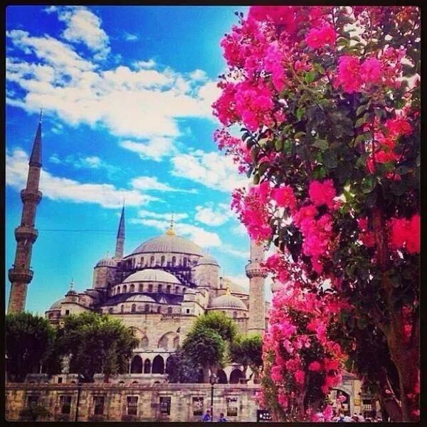 Стамбул весной. Мечеть в Стамбуле. Султанахмет весной.