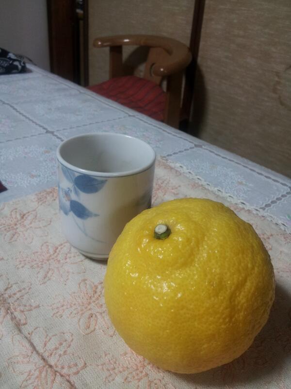 milksop's tweet photo. これはなんぞ。 http://t.co/XIVihrmhxH