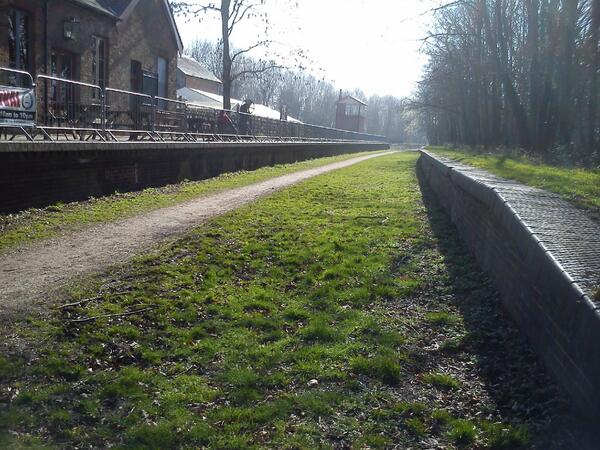 Brenda Gostling tweet media