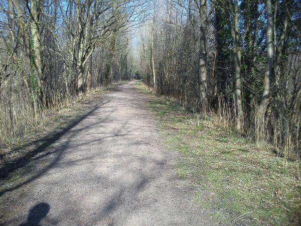 Brenda Gostling tweet media