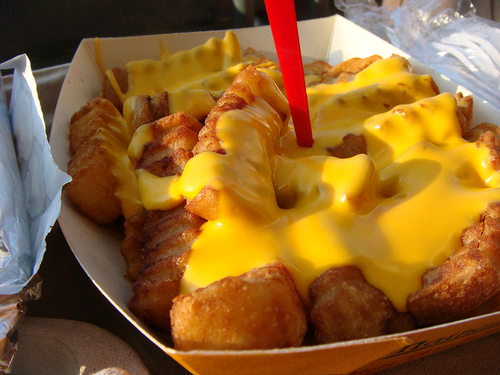 FewdPoarn's tweet photo. Cheese fries #fewdpoarn #foodporn http://t.co/DTK18HNkBC