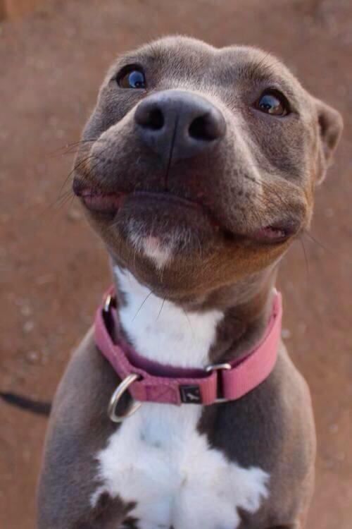 _Paisajes_'s tweet photo. La sonrisa perfecta http://t.co/j23MDygYWg