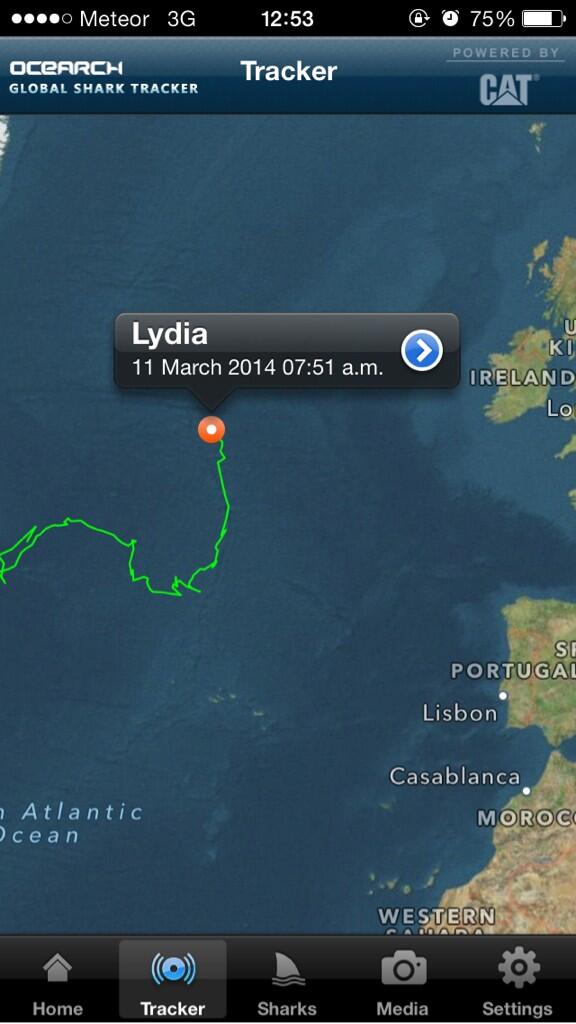 SarahSisk1's tweet photo. @NicolaLemon @JillKelleher @megsisk @BoegRachel girl u shit shark watcher!she pinged this morning - she's ages away👍 http://t.co/OfRGSrNt6I