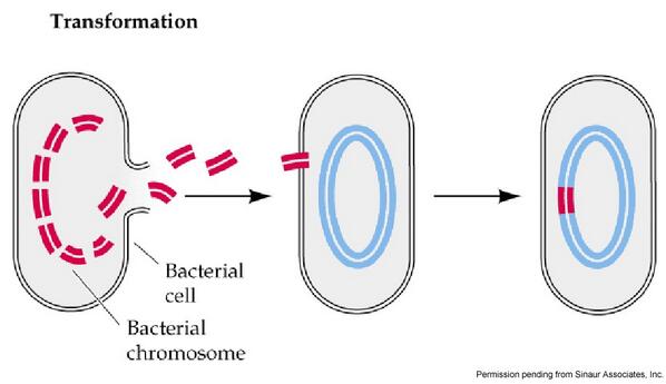 ScienceOHS tweet picture