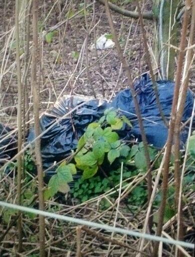 Rubbish dumped near to sale harriers running track crossford bridge sale