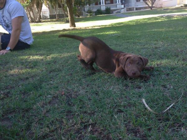 New Member of Parliament #Welcome #FirstLady #Milly #oulik <a href="/Redge_2/">Reghardt Coetzee</a>. <a href="/CollettJason1/">Jason Collett</a>.