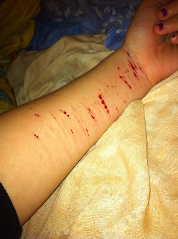 cats_help's tweet photo. et encore se nes rien par appore a d abitude http://t.co/V6mvFjD5Hh