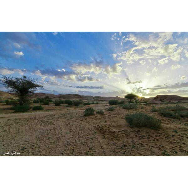 vip2337's tweet photo. @Lens_tabukإلى أحبابي عدسة تبوك أحبكم عمل أقدمه لكم مابعد الامطار http://t.co/zEdZsDWBPg