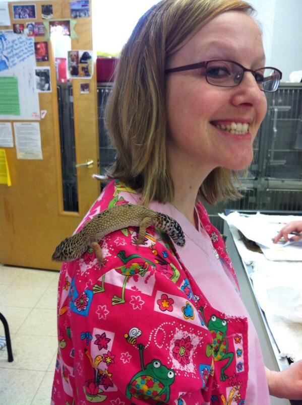 All Creatures Animal tweet media