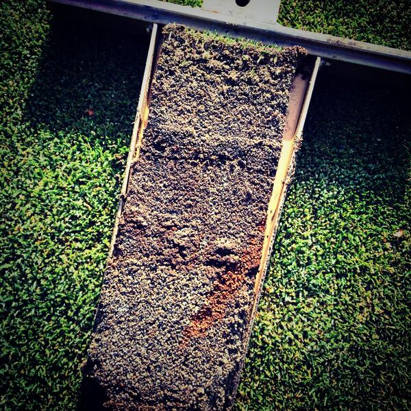 superjhooper's tweet image. Evidence of the verti-drain "kick" filled with Greens Grade Profile soil amendment on the front of our 15th green.