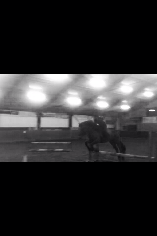 EPlaggenhoef's tweet photo. Vanavond springles gehad 😊 #toppaard♡ http://t.co/L9RbNKwXQn