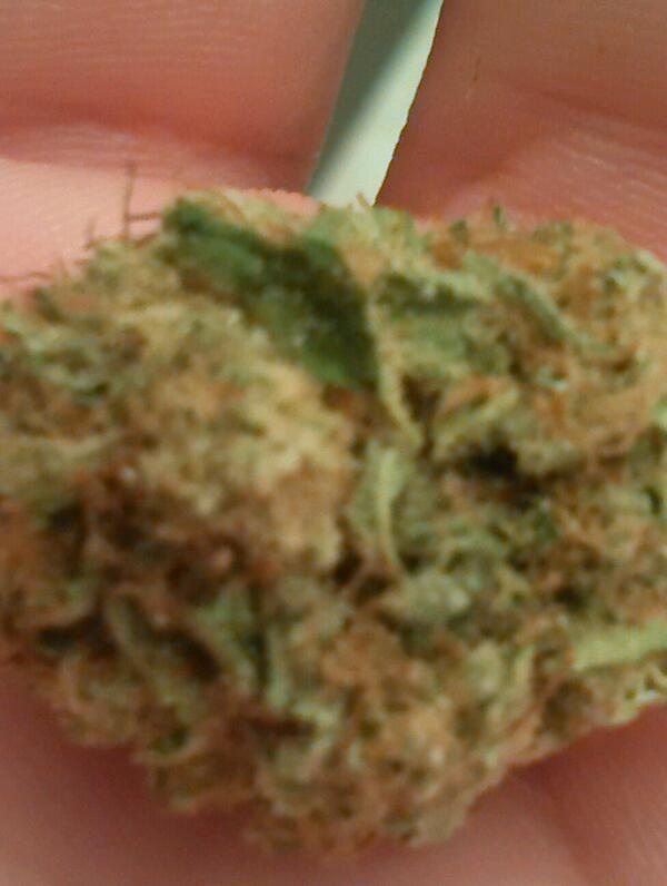 got_acid tweet picture