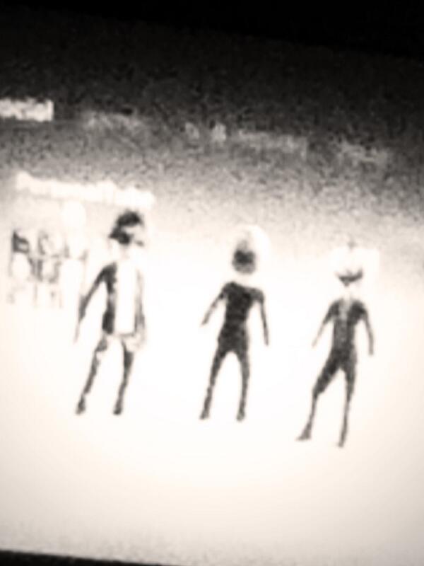 FStapy's tweet image. Don't jungle me