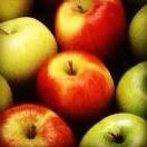 GoberDuarte's tweet photo. #Chihuahua produce manzana de la mejor calidad. Estaremos apoyando a productores y el consumo de manzana chihuahuense http://t.co/XmsyKy7O3K