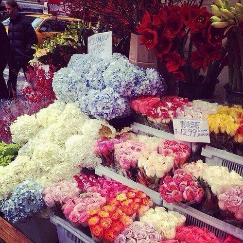 꽃봇 (@blossoms_bot) on Twitter photo 