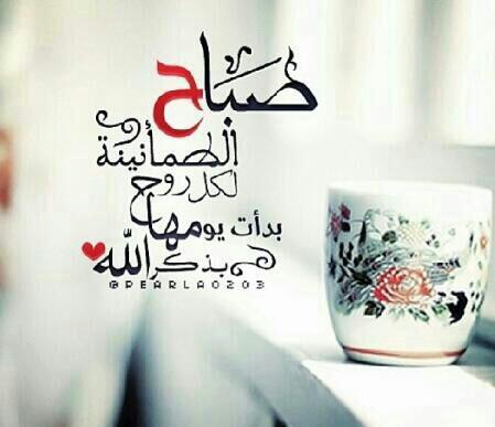 s_k444's tweet photo. صباح الخير http://t.co/8GfALUfQT6