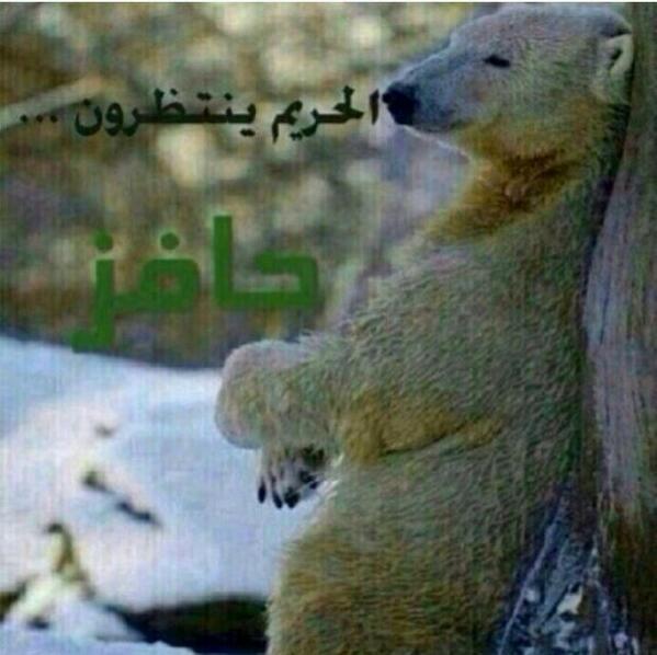 s_k444's tweet photo. بدئنا بالطقطقه http://t.co/YRU4s7dsCt