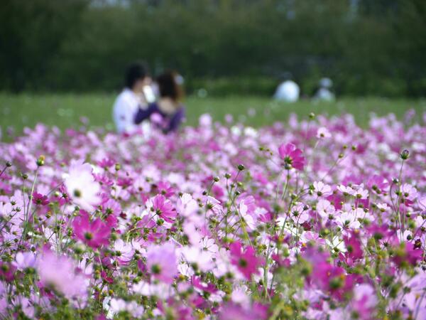 LeeFuneralHome's tweet photo. Calming images that allow some to reflect upon: http://t.co/gGQ2ezUztj