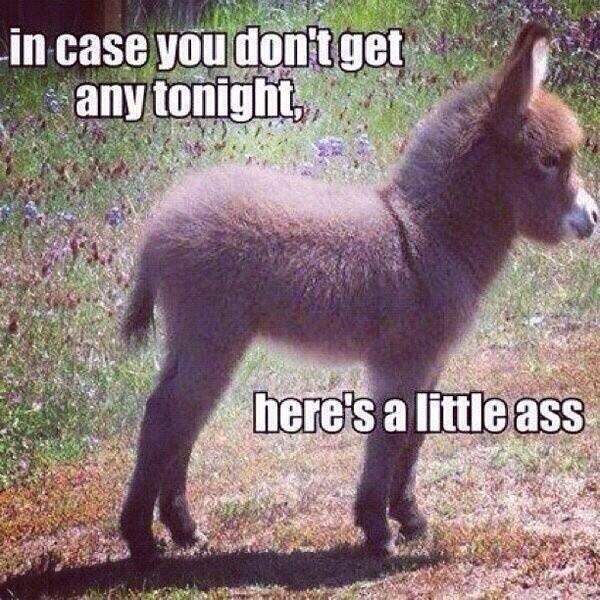 DailyFunFun's tweet image. 