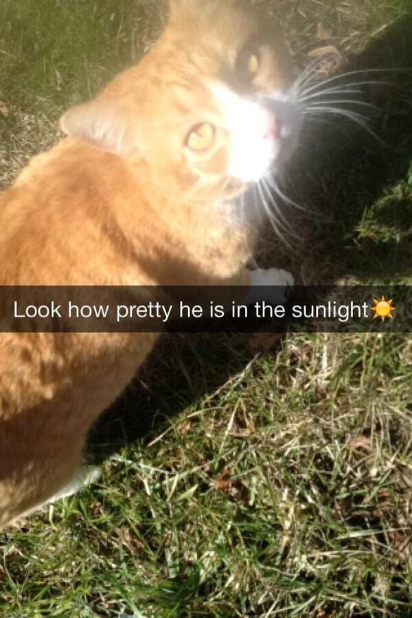 Heather (@heatherrrr_) on Twitter photo 