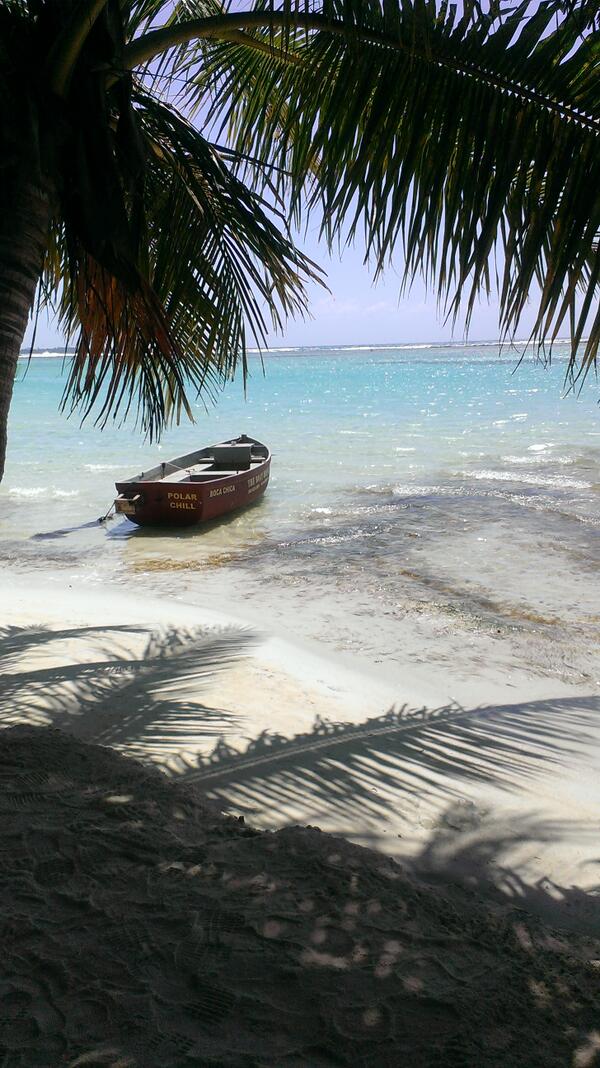 CC_biscuit's tweet photo. Come back to mine amazin week break:) http://t.co/4gI3DHN3Il
