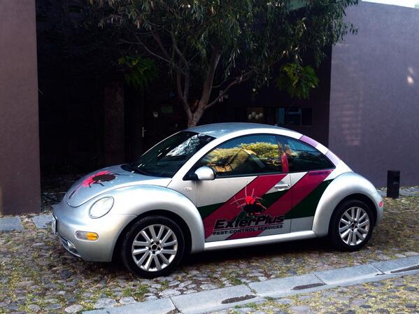 ExterPlus's tweet image. #FumigacionesProfesionales #SanMiguelDeAllende #ControlDePlagas