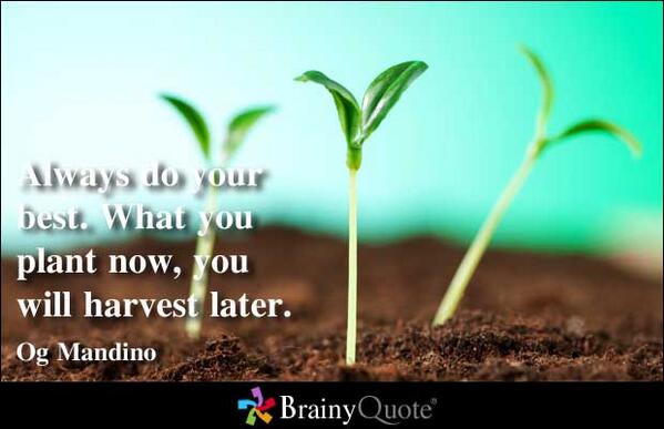 AnxaTeam's tweet image. Always do your best. What you plant now, you will harvest later. #corevalue4