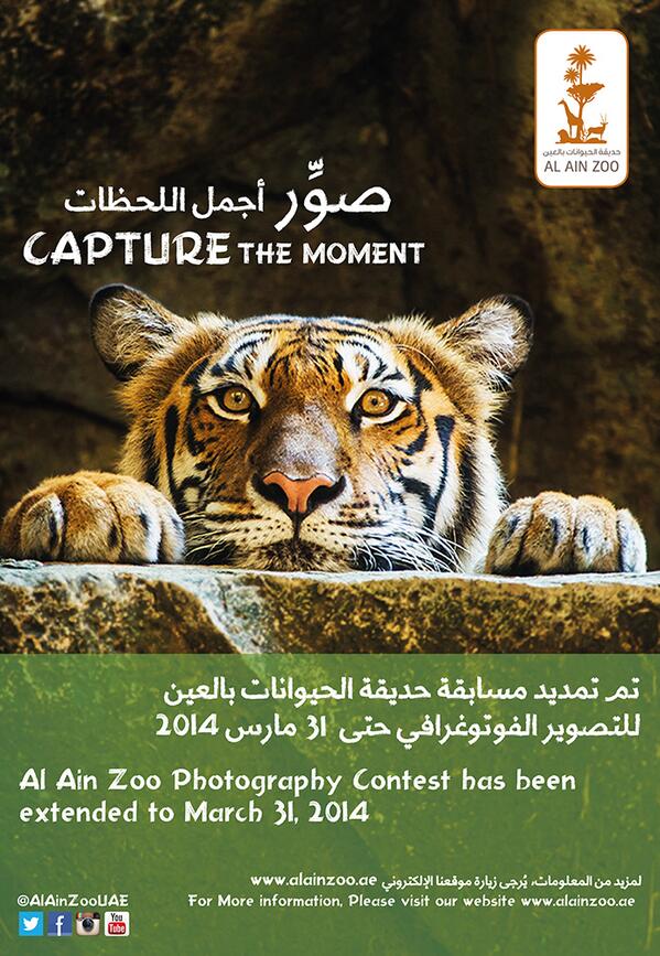 AlAinZooUAE's tweet photo. Our photography competition has been extended!
Participate &WIN CASH prizes and many others offered by #GrandStores http://t.co/vPargczeJT