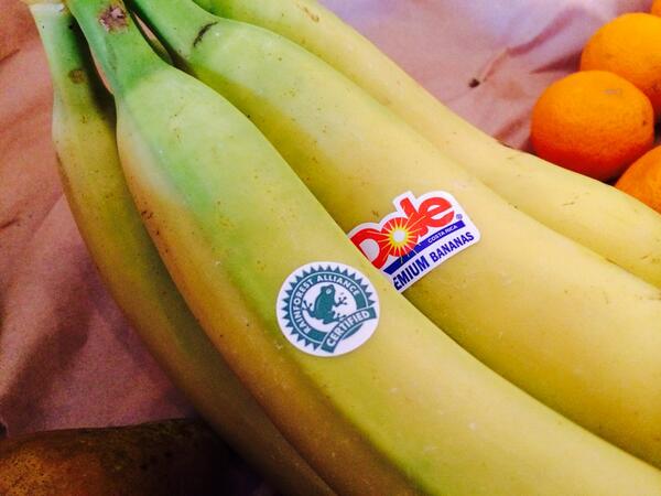 Dags för <a href="/Filminstitutet/">Svenska Filminstitutet</a> och @BUFF_festival att göra en #bananpudel #fulbananer till skolbarn?  @annaserner