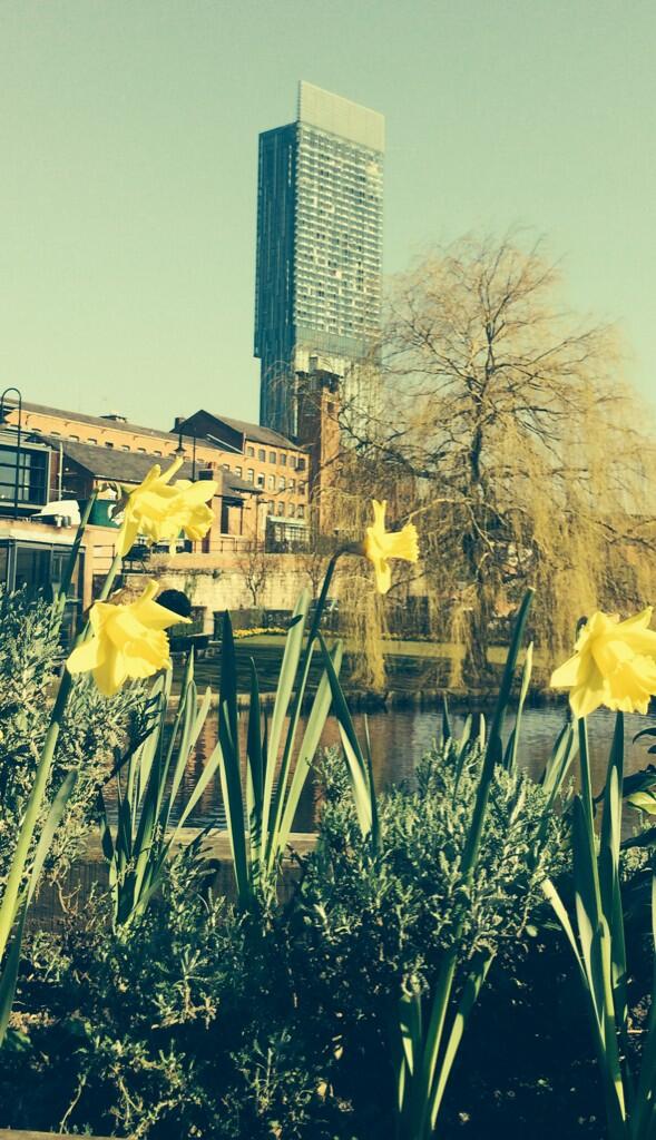 UprisingFeature's tweet image. #world #Manchester #sunshine yet another day in Manchester life is good