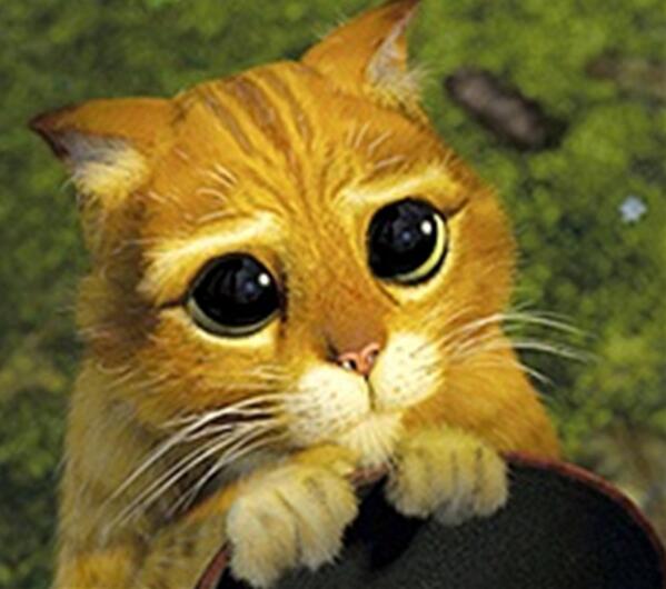 UDI Jeunes tweet media