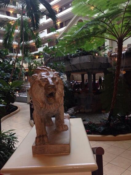 Very nice of the hotel to import this Lion to welcome us. We have arrived safe and sound in Charlotte! #fancyhotel
