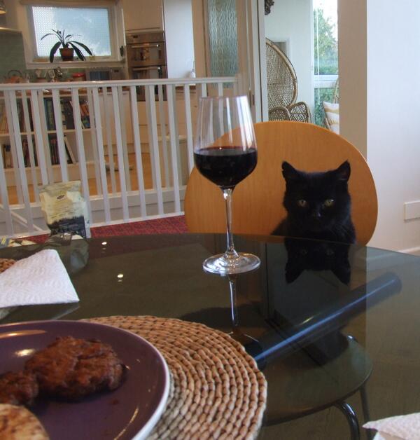 MYSADCAT's tweet photo. My cat is sad because we went out last night but he stayed in drinking cheap wine &amp; eating a Tesco value meal for one http://t.co/ShdDl03wzA