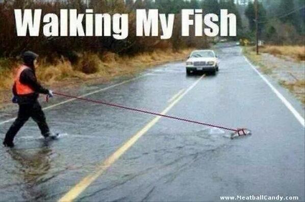mrlolls's tweet photo. Funniest thing I've seen in a while @Cooklet69 hèhè http://t.co/0x0qOMJEaE
