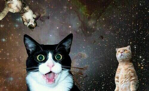 BVS3DKITTY's tweet photo. “@SpaceCatKitty: `` http://t.co/jN1vskIvpo” tb to that acid trip with the squad