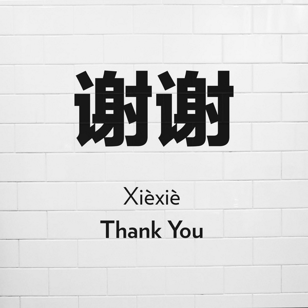 Bosidengus's tweet photo. The #Chinese #WordOfTheDay is Thank You, pronounced syeh-syeh. #bosidengiscoming #fashion http://t.co/3svc7XoJtx