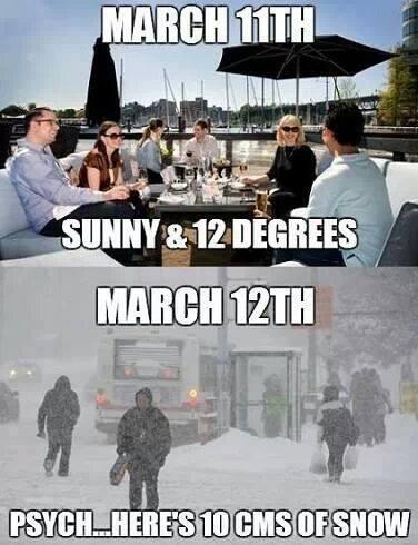 CatieKat99's tweet image. Only 8 days left till Spring!!! (technically)
I know @SaxGuppy can relate!
#CanadianWeatherProblems