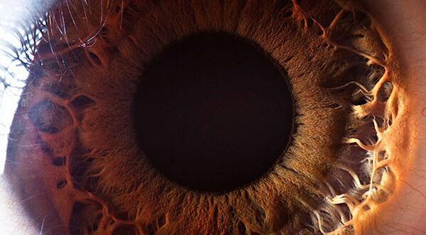 museBOX's tweet photo. "Extremely detailed closeups of the human eye: http://t.co/61aLpayv8J http://t.co/szzNa4L0Nk" #SickChirpse. #mBX