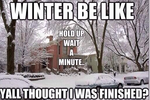 wjehovany777's tweet photo. “@WonderrPanda: “@Obeywesli: Winter be like http://t.co/kg8XDGlqJ3”😂😭” LMAO