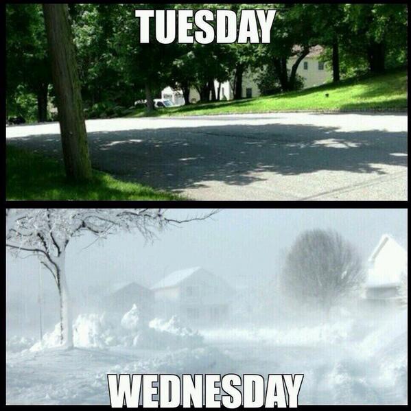 Golden_Braun's tweet image. #MichiganProblems