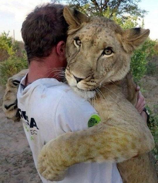 Huggz ... ow.ly/uwOXi  ☼