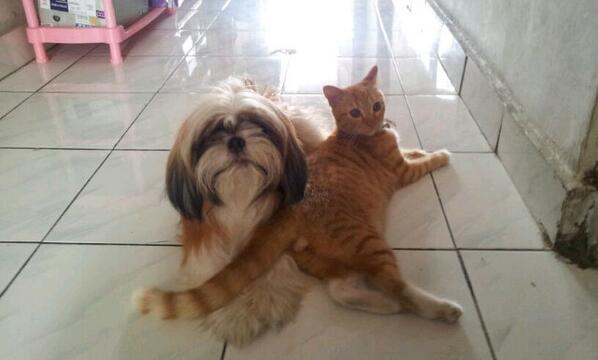 _ItaMutiara_'s tweet photo. Happiness http://t.co/xGlSbxIjbA