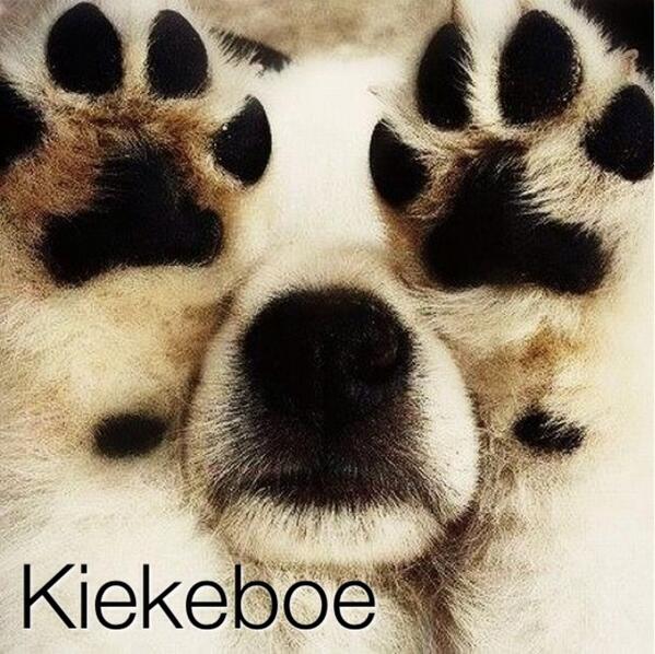 PetLifeMagazine's tweet image. 