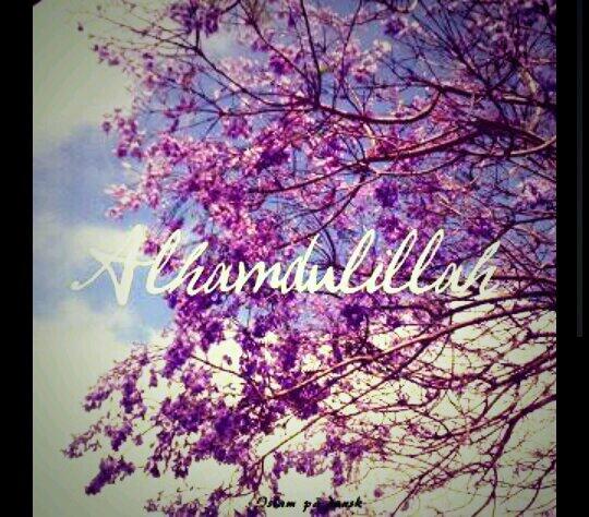 Didack27's tweet image. Alhamdulillah..