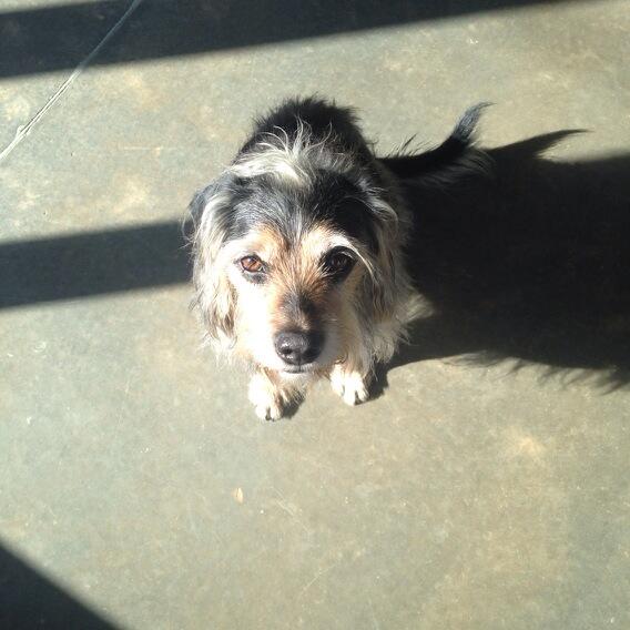 sharp_attack's tweet image. Ira @JBMediaGroupLLC . :)