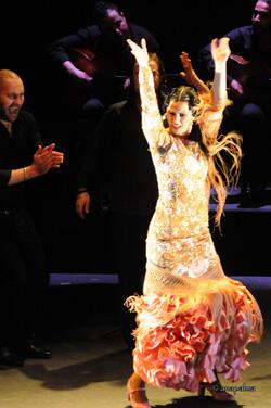 ClickAroundChi's tweet photo. Chicago Flamenco Festival at Instituto Cervantes of Chicago thru Mar 21!  http://t.co/5HnutU0tsi http://t.co/znm2qRJDo5