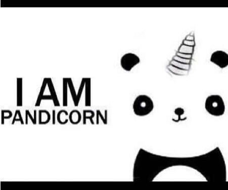 KarlaLaureen's tweet image. I am... #Pandicorn 🐼😂😂😂😂