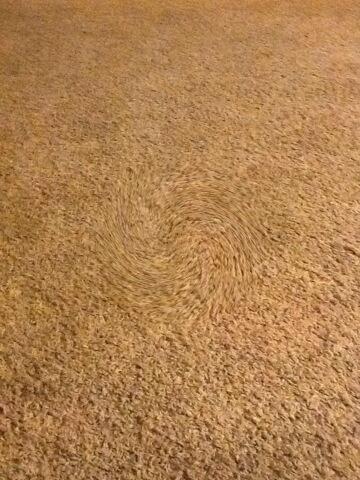 patrickwillis59 tweet picture