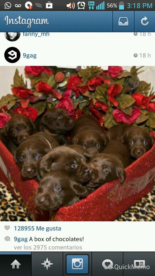 Yocamgu's tweet photo. @jamyHrz y estos ?? http://t.co/MSZUgjQal7